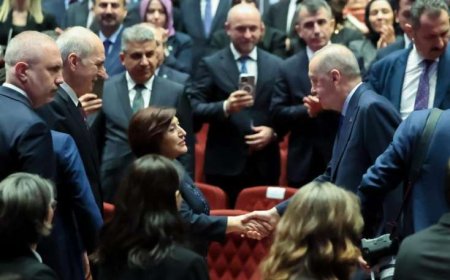 Sahibə Qafarova Ərdoğanla görüşdü