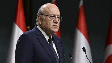 Əvvəlcə Allaha, sonra Türkiyəyə güvənməli olduğumuzu öyrəndik - Necib Mikati