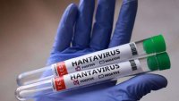 Yeni virus daha iki ölkədə aşkarlandı